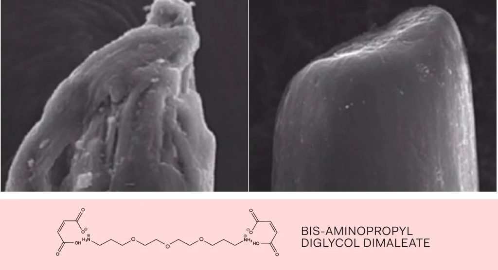 olaplex-BIS-Science